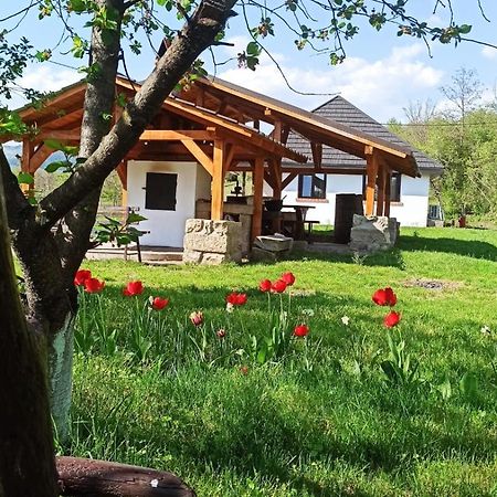 Casa Livada Bunicii Villa Tirgu Ocna Luaran gambar