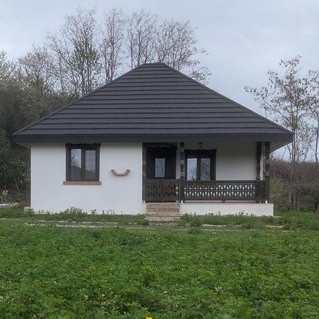Casa Livada Bunicii Villa Tirgu Ocna Luaran gambar