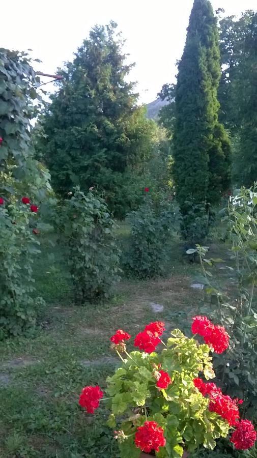Casa Livada Bunicii Villa Tirgu Ocna Luaran gambar