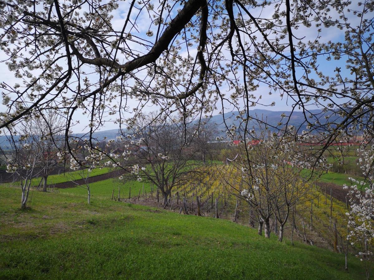 Casa Livada Bunicii Villa Tirgu Ocna Luaran gambar