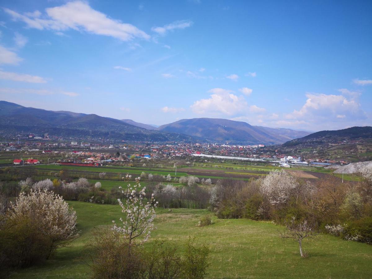 Casa Livada Bunicii Villa Tirgu Ocna Luaran gambar