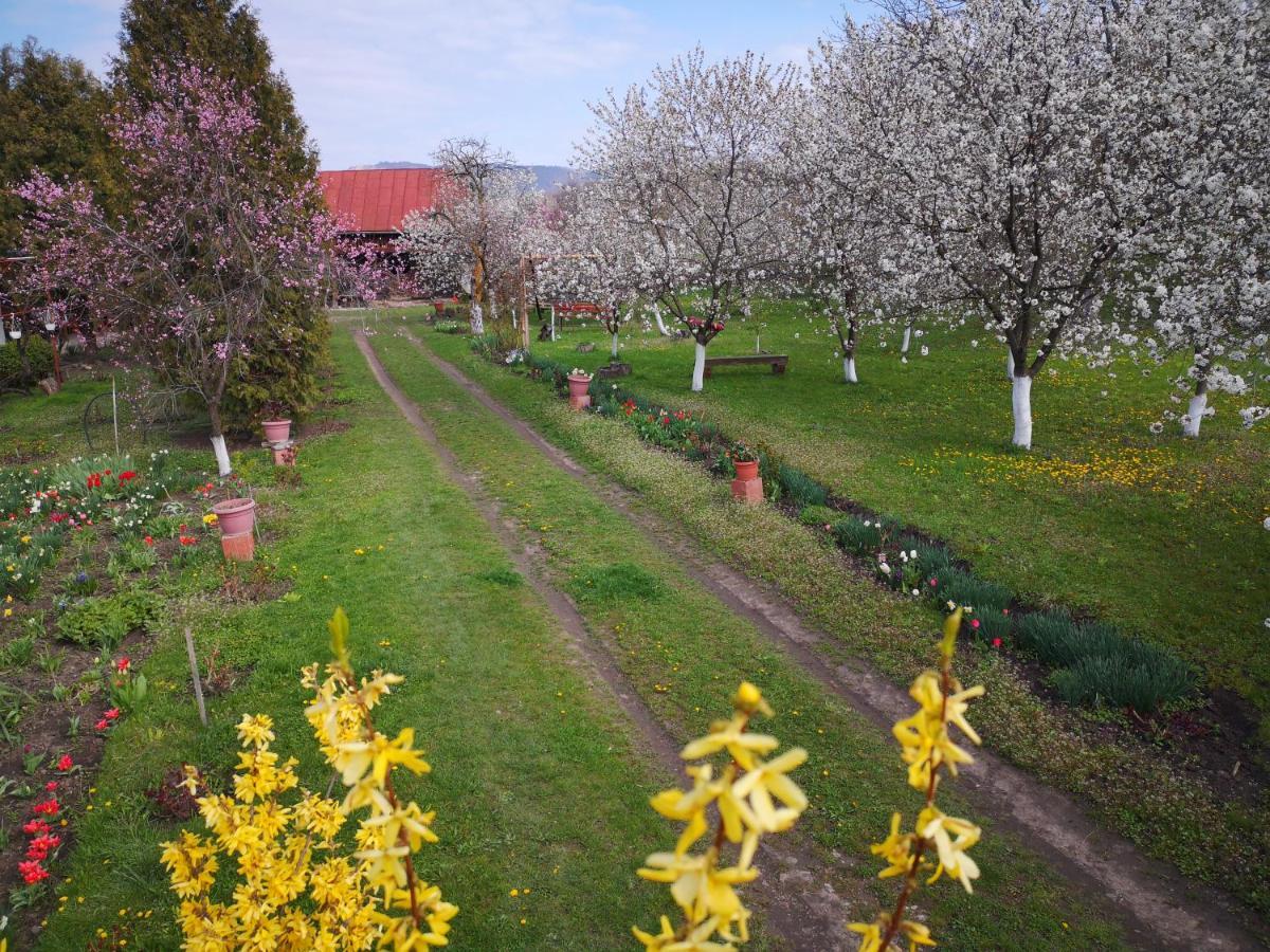 Casa Livada Bunicii Villa Tirgu Ocna Luaran gambar