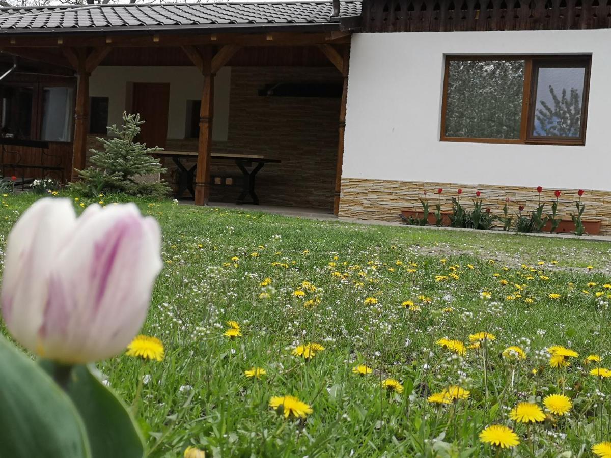 Casa Livada Bunicii Villa Tirgu Ocna Luaran gambar