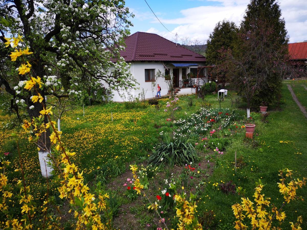 Casa Livada Bunicii Villa Tirgu Ocna Luaran gambar