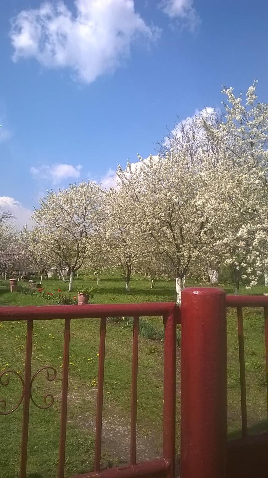 Casa Livada Bunicii Villa Tirgu Ocna Luaran gambar