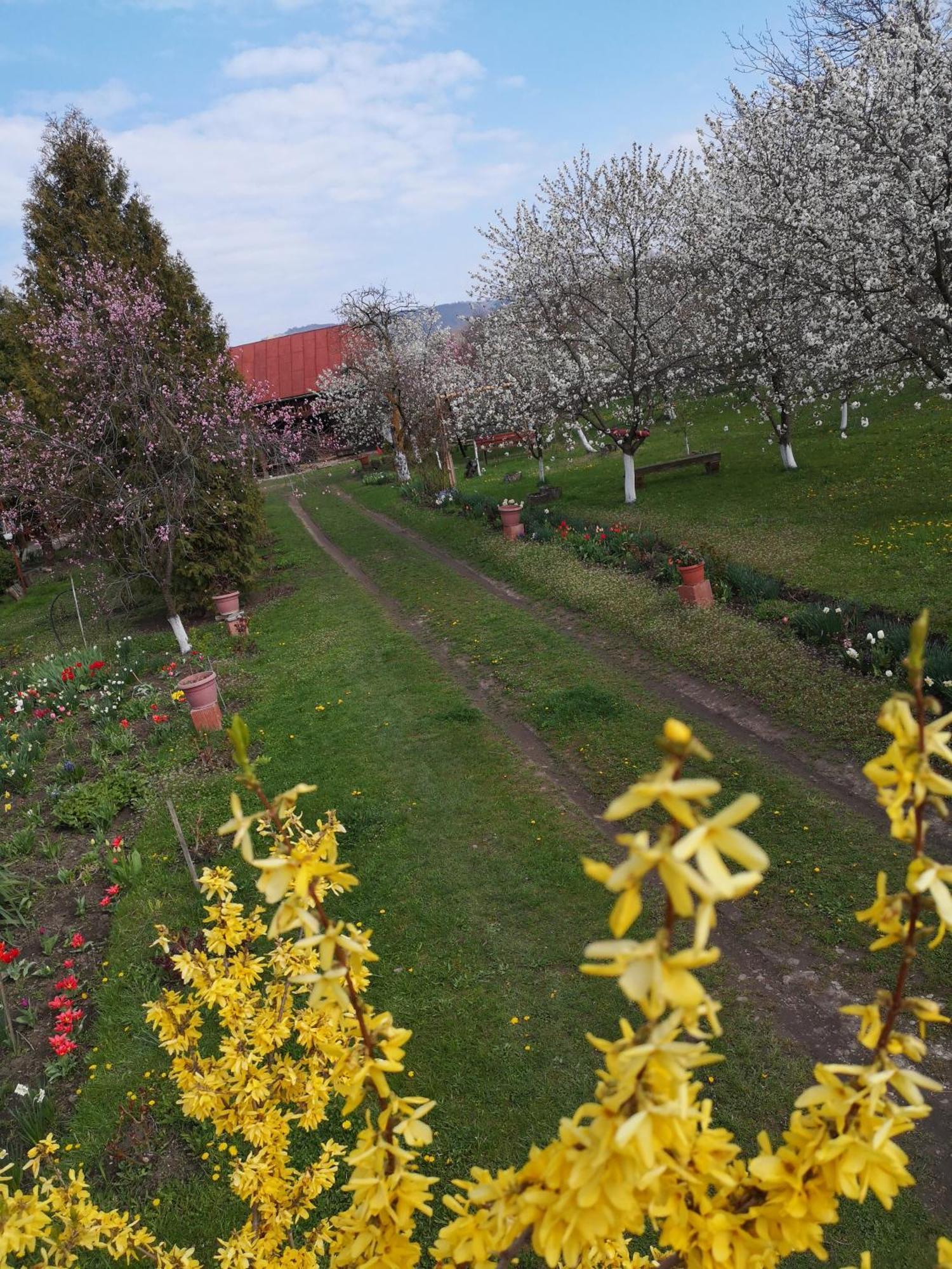 Casa Livada Bunicii Villa Tirgu Ocna Luaran gambar