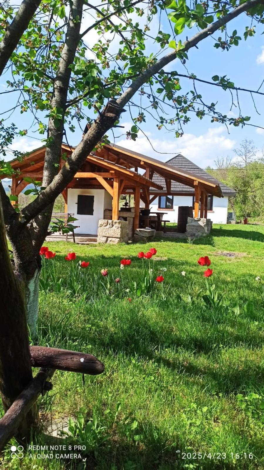 Casa Livada Bunicii Villa Tirgu Ocna Luaran gambar