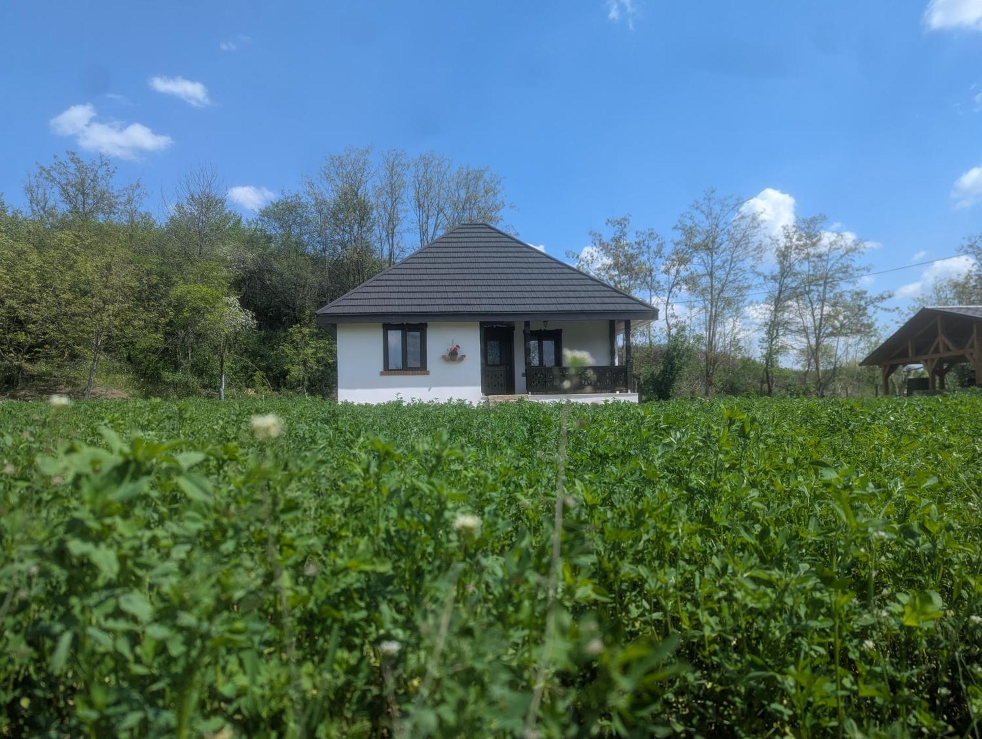 Casa Livada Bunicii Villa Tirgu Ocna Bilik gambar